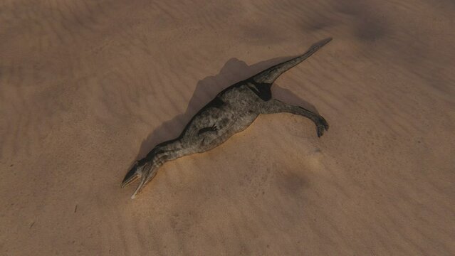Last Day of the Dinosaurs 3D Video Animation
