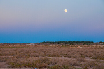 Moon above salt desert near salt lake Chott el Djerid, Sahara desert, Tunisia, Africa