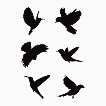 Vector silhouette flying birds on white background. Tattoo