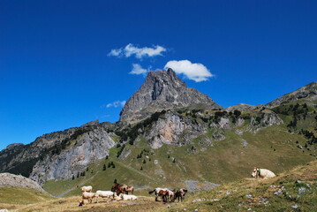 Horses in the Pyrenees National Park with the Pic du Midi d'Ossau in the background, France
