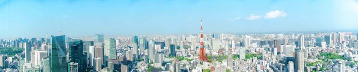 Obraz na płótnie Canvas panorama, The most beautiful Viewpoint tokyo city, japan.