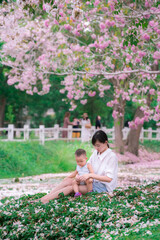 Happiness Mother and baby in pink flower park Tabebuia rosea garden