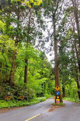 函館山登山道（北海道函館市）