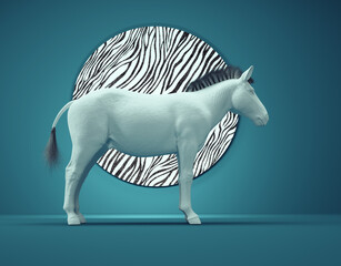 Zebra outstanding