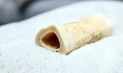 Large dog bone treat on sofa blanket. Hollow femur beef bone. natural durable dog chew toy. Helps with boredom and dental health by removing tartar and plaque during chewing action. Selective focus.