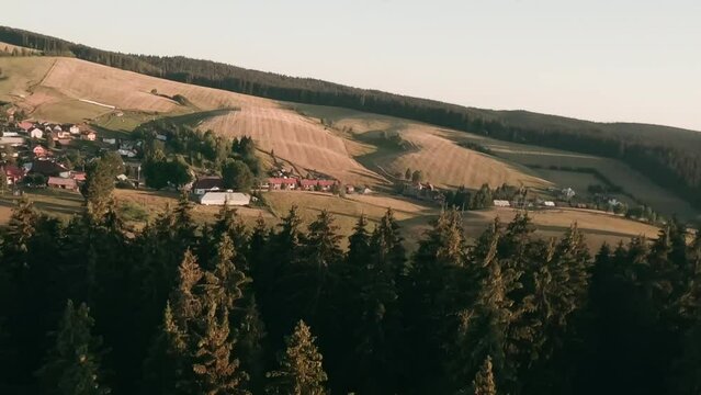 Fast diving aerial shot from racing drone. Flying above and through the tree tops of spruce forest and descending towards a herd of Hucul horses grazing on a pasture in Sihla, Slovakia. LuPa Creative.