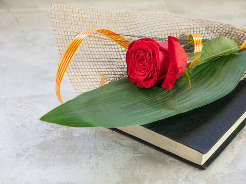 Rose and Book, traditional gift for Sant Jordi, the Saint Georges Day. It is Catalunya's version of Valentine's day