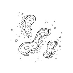 cute doodle illustration