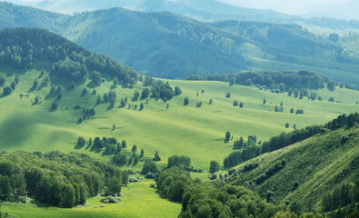 Obraz premium Hills and meadows in the evening light, spring greenery, countryside
