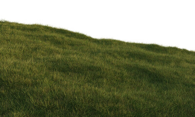 Naklejka na ściany i meble green grass landscape horizon 3d png hill