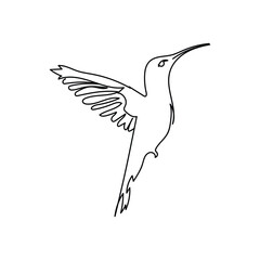 humming bird, one line art animal, continuous one line art vector illustration , printing, modern line art, minimalistic, minimalism line art drawing , printable in cards decor,logo concept.