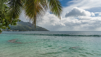 Fototapeta na wymiar A wave of turquoise ocean rolls towards the shore. Green leaves of palm trees against the sky and clouds. A hill in the distance. Seychelles. Mahe
