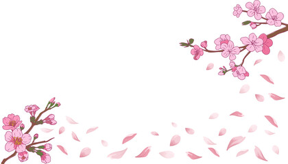 Obraz na płótnie Canvas Abstract Spring background with Sakura, Cherry blossom branch and falling petals border and copy space for text. Overlay, banner, cover. Realistic illustration on transparent background. PNG. 