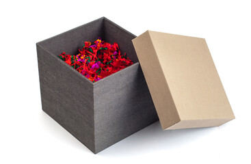 An opened paper gift box filled with decorative colorful shredded paper. Gift pack on white background.