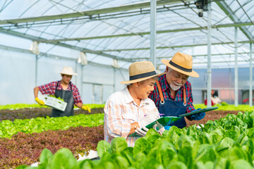Happy Asian elderly man and woman gardener working on digital tablet in organic vegetable hydroponic system greenhouse garden. Small business vegetables salad farm owner and healthy food concept.