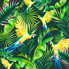 A tropical composition of palm branches and a yellow Macaw parrot. Watercolor illustration. Exotic birds. Monstera. Banana leaves.