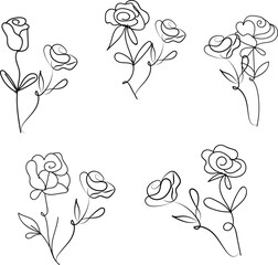 isolated rose flower line art with leaves
