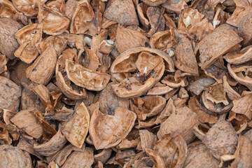 The Natural Wonder of Walnut Shells: A Closer Look