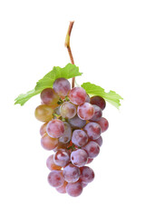 Red grapes isolated on white