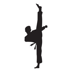 Taekwondo Vector icon design illustration 