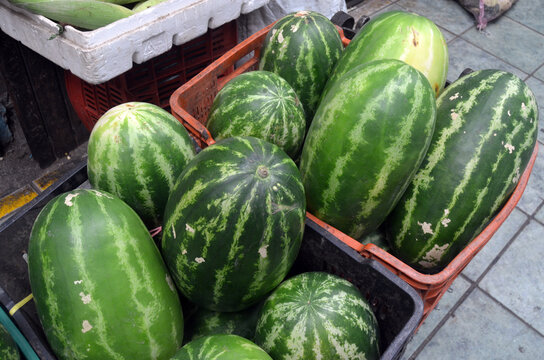 Sandia, Water mellon