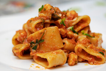 Paccheri pasta with gurnard ragout.