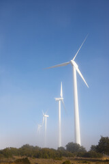 Fototapeta premium Wind turbines for sustainable electric energy production in Spain.