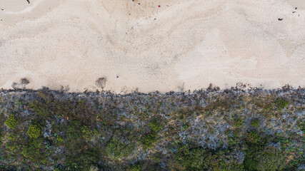 Beach lines