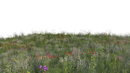 春の草原 花咲く草原 春の花咲く草原 透過png  © kx59