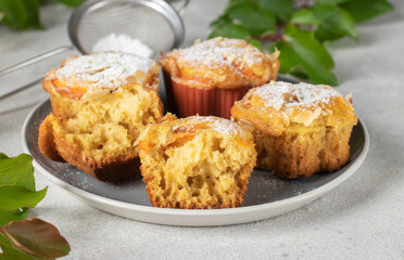 Homemade muffins with apricots and almonds sprinkled with powdered sugar on gray plate, Close-up