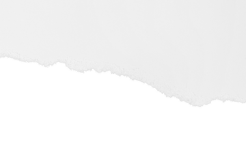 Torn white paper with shadow. Isolated