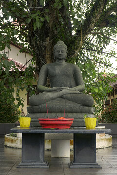 buddha statue with peaceful tree background