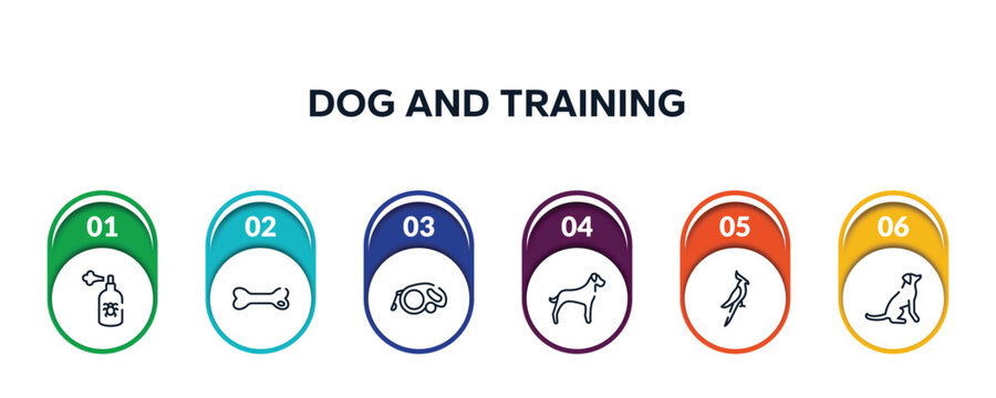 dog and training outline icons with infographic template. thin line icons such as spray, dog toy, extending leads, great dane, nymphicus hollandicus, dog seatting vector.