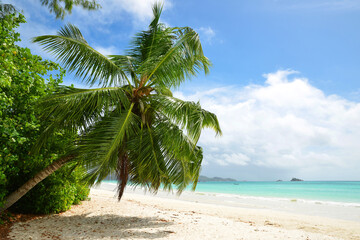 Tropical sand beach Anse Volbert with turquoise sea in the island Praslin, Seychelles, Indian Ocean, Africa.