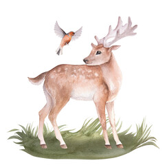 Watercolor illustration of a cartoon deer and bird, isolated