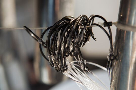 A group of fish hooks with lines are prepared for a day on the water.