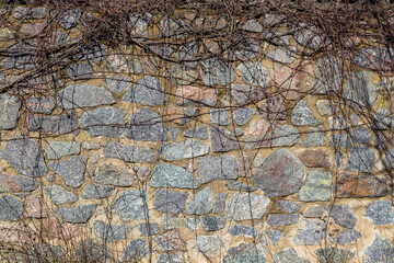 Old stone wall with ivy as background