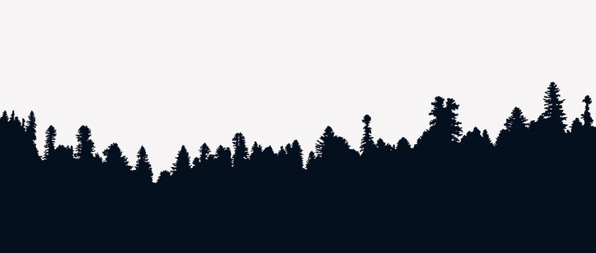 Background with evergreen forest silhouette