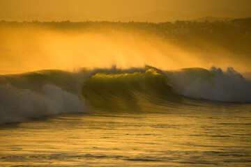 Golden flare on a crashing wave.