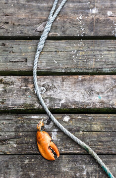 Lobster claw and rope on pier