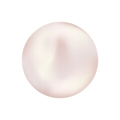 sea pearl background on white transparent PNG background