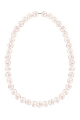 white pearl necklace on white clear background PNG, Vector illustration 