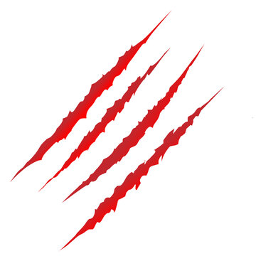 Animal red scratches on transparent background, Vector illustration 