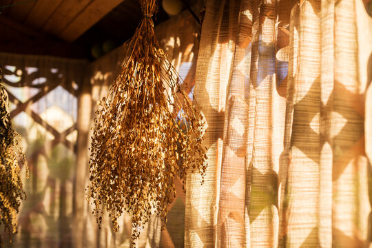 Vegetable Herbs Drying In Veranda