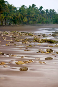 Coast of Java Island