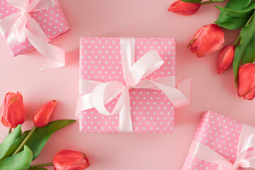 Woman day gift concept. Top view photo of present gift boxes with tulips flowers on pastel pink background. Holiday spring idea.
