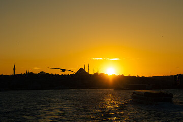 Istanbul view. Seagull and Suleymaniye Mosque. Ramadan or islamic concept
