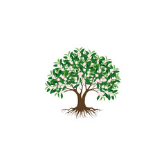 Tree Flower and roots with green leaves look beautiful and refreshing. Tree and roots LOGO style. Welcome to Spring season.