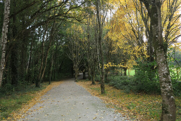 Doneraile Wildlife Park and court - Doneraile - County Cork - Ireland