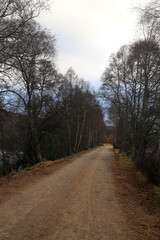 Path along the Spey river - near Cromdale - Speyside way - Highlands - Scotland - UK